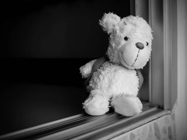 Плюшевий Ведмідь Сидить Дверях Додому Чорно Біла Фотографія Один Небажаний — стокове фото