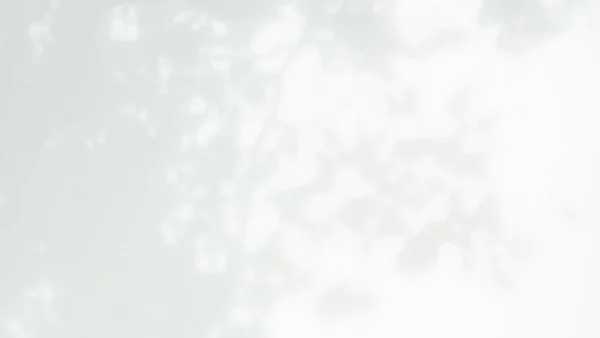 Тень Цемента Blur Gray Оставляет Фон Внутренняя Шероховатая Текстура Темно — стоковое фото