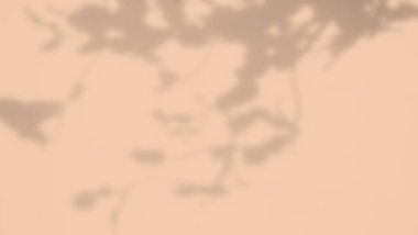 Blur Orange Wall with shadow Leaves Autumn Background,Interior old Rough Surface Texture Dark Black white Floor Stone,Dirty Pattern Floor and Soft Light Material Inside Wallpaper Backdrop,Loft Room.