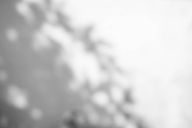 Blur Overlay Shadow Leaves Background,Abstract Sunlight effect Nature on Gray Cement Backdrop,Mock Up Display Free Space for add Products presentation,Structure Concrete Material Floor Construction.