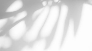 Blur Overlay Shadow Leaves Background,Abstract Sunlight effect Nature on Gray Cement Backdrop,Mock Up Display Free Space for add Products presentation,Structure Concrete Material Floor Construction.