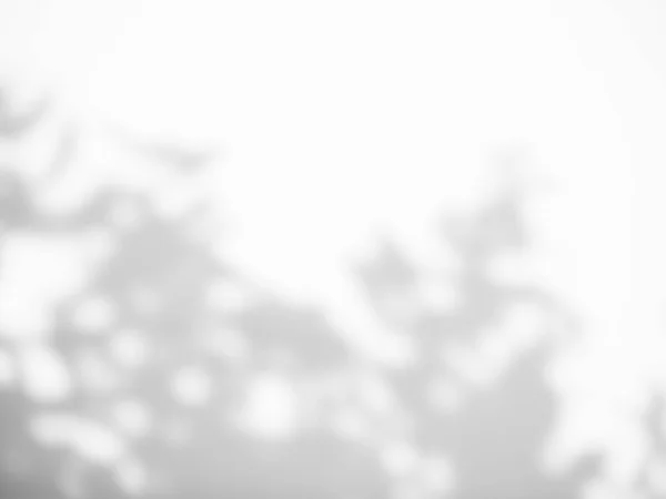 Розмиті Тіньові Листя Фон Абстрактний Ефект Сонячного Світла Природа Сірому — стокове фото