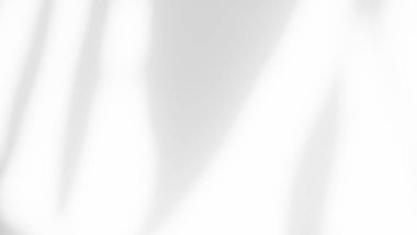 Blur Overlay Shadow Leaves Background,Abstract Sunlight effect Nature on Gray Cement Backdrop,Mock Up Display Free Space for add Products presentation,Structure Concrete Material Floor Construction.