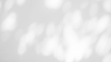 Blur Overlay Shadow Leaves Background,Abstract Sunlight effect Nature on Gray Cement Backdrop,Mock Up Display Free Space for add Products presentation,Structure Concrete Material Floor Construction.