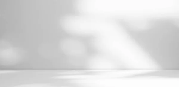 Abstract Shadow Leaves Gray Cement Room Stodio Background,Sunlight Reflection Overlay Backdrop,Blank Counter Bar Floor Room,Empty Table Free Space for add Product presentation,Mock Up Nature Template.