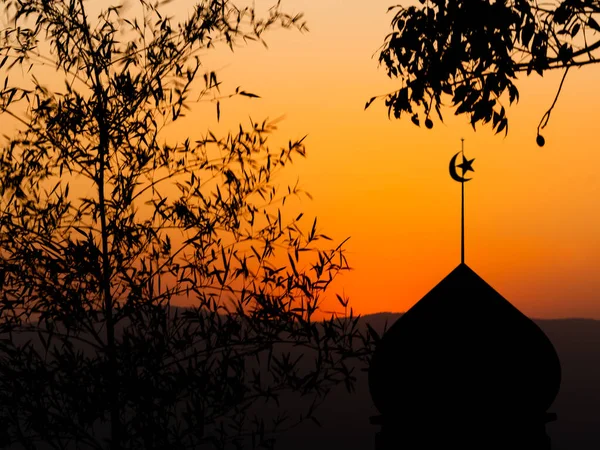 Mosques Dome Sunset Twilight Sky Shadow Leaves Background Islamic New — Stock fotografie