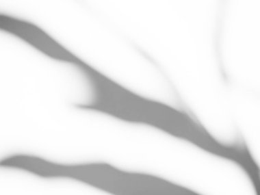 Blur Overlay Shadow Leaves Background,Abstract Sunlight effect Nature on Gray Cement Backdrop,Mock Up Display Free Space for add Products presentation,Structure Concrete Material Floor Construction.