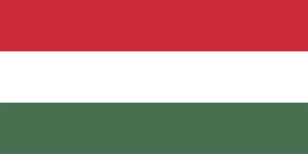 匈牙利国旗最初的尺寸和颜色矢量图解，匈牙利国旗是匈牙利官方国旗，匈牙利国旗 — 图库矢量图片