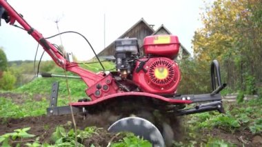 Çiftçinin ekiciye ters vites takması ile çiftçi, araziyi benzin ekicisiyle işliyor ve sebze ekimi için bir bahçe hazırlıyor.