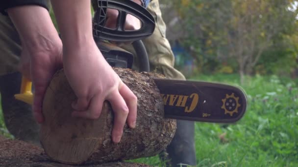 Die Kettensäge zerschneidet den Baumstumpf und Sägemehl fliegt in alle Richtungen und qualmt - Belarus, Minsk - 2 Nov, 2021 — Stockvideo
