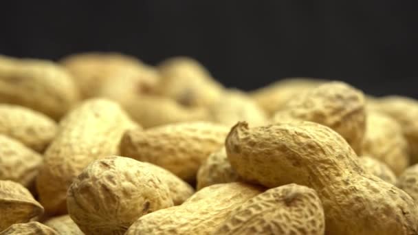 Грунтові горіхи обертаються як фон, горіхи в мушлях, мелені горіхи — стокове відео