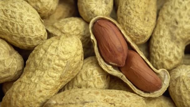 Amendoins moídos giram como fundo, amendoins em conchas, nozes moídas — Vídeo de Stock
