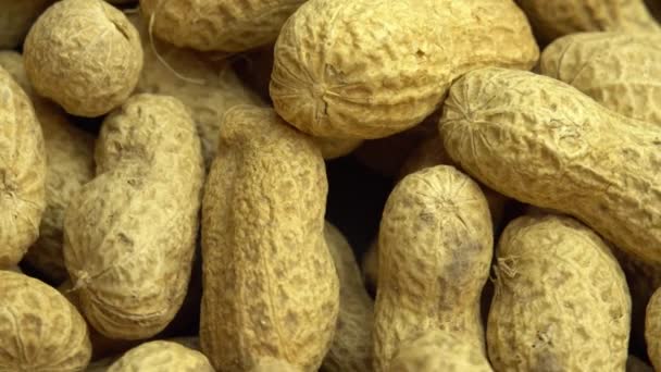 Podzemních arašídů otáčet jako pozadí, arašídy ve skořápkách, mleté ořechy — Stock video