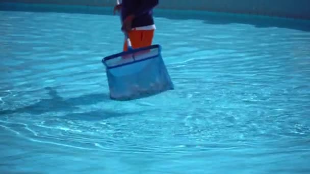 Un homme enlève les ordures de la piscine avec une sève. Service et entretien de la piscine. Nettoyage de la piscine. Nettoyant hôtelier. — Video