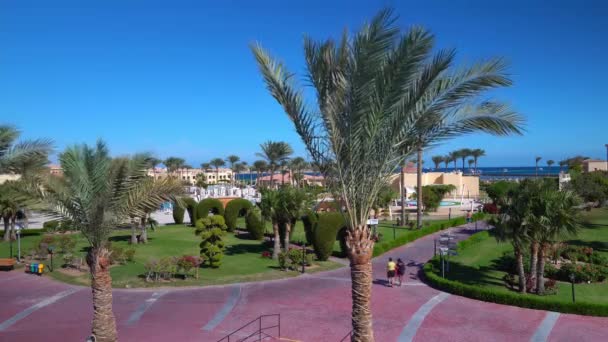 Cleopatra Luxury Resort Makadi hotel en Hurghada resort. Vista de los terrenos y palmeras: Egipto, Hurghada - 3 diciembre, 2021 — Vídeos de Stock