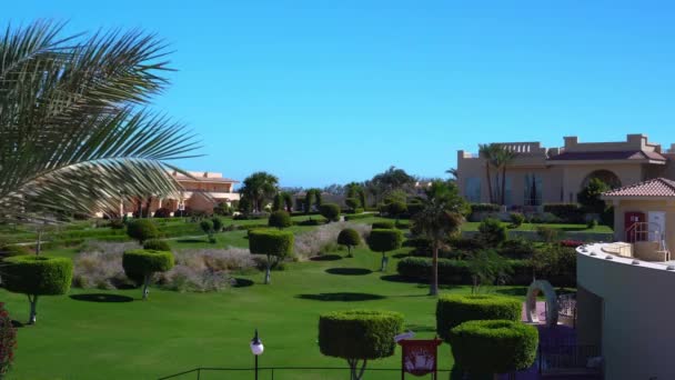 Cleopatra Luxury Resort Makadi hotel w Hurghadzie. Widok na ziemie i palmy: Egipt, Hurghada - 3 grudnia 2021 — Wideo stockowe