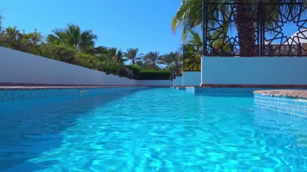 Private swimming pool near villa in tropical resort on a sunny day. Palm trees on paradise resort. — Stock Video