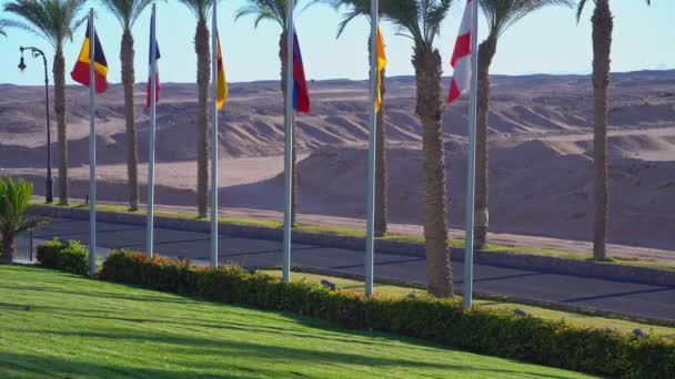 Banderas internacionales flameando cerca de hotel egipcio en Hurghada, vista del desierto desde el oasis verde. Banderas internacionales en el desierto — Vídeo de stock