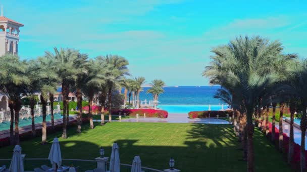 Baron Sahl Hasheesh, Hurghada 'da bir otel. Bölgenin manzarası, yüzme havuzu ve tropikal palmiye ağaçları: Mısır, Hurghada - 3 Aralık 2021 — Stok video