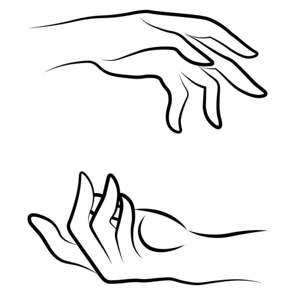 Kobiety Ręce Proste Zarys Minimalistyczny Styl Gestu Liniowego Wektor Ilustracja — Wektor stockowy