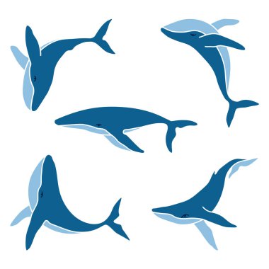 Beş kambur balina seti minimalist basit renk vektör logosu çizimi. İzole edilmiş renkli balinalar beyaz arkaplanda çizim yapıyor