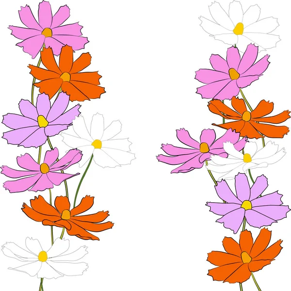 Okraj Kosmu Květinové Větve Vektorové Ilustrace Izolované Bílém Pozadí Obrys — Stockový vektor