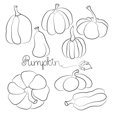 Kabak ikonu vektör illüstrasyon seti ve el çizimi harfler. Sonbahar Cadılar Bayramı ya da Şükran Günü balkabağı sembolü düz dizayn edilmiş, beyaz arkaplanda izole edilmiş siluet.