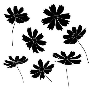 Beyaz arkaplanda izole edilmiş kozmos çiçek dalı vektör kümesi. Siluet el versiyonu.