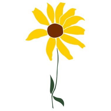 Beyaz arkaplanda izole edilmiş açık helopsis çiçeği vektör renk çizimi. Vektör taslak stili üst görünüm el çizimi vahşi, sarmal, sahte ayçiçeği.