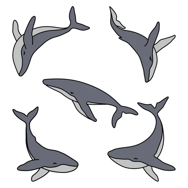 Conjunto de cinco ballenas jorobadas minimalista ilustración simple vector de color del logotipo. Ballenas aisladas dibujando sobre fondo blanco — Vector de stock