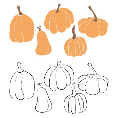 Kabak ikonu vektör illüstrasyon seti. Sonbahar Cadılar Bayramı ya da Şükran Günü balkabağı sembolü düz dizayn edilmiş, beyaz arkaplanda izole edilmiş siluet.