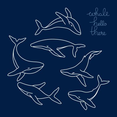 Altı kambur balina ve harfli minimalist basit ana hatlı vektör logosu çizimi. Koyu mavi arkaplanda balina çizimi