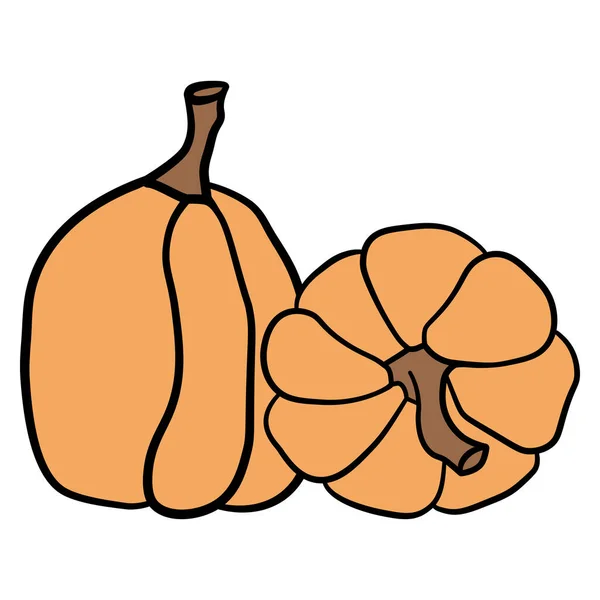 Pompoen Pictogram Vector Illustratie Set Herfst Halloween Thanksgiving Pompoen Symbool — Stockvector