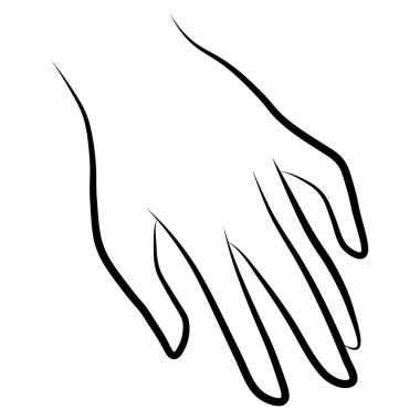Kadınlar basit, minimalist, doğrusal jest tarzında el ele verirler. Beyaz arkaplanda logolar, izler, desenler, posterler ve diğer tasarımlar yaratmak için kadın ellerinin vektör ilüstrasyonu