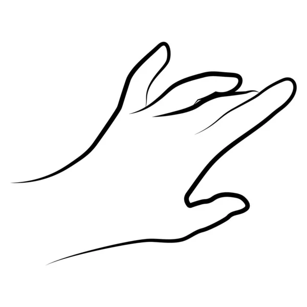 Mulheres Mão Esboço Simples Estilo Gesto Linear Minimalista Vetor Ilustração —  Vetores de Stock
