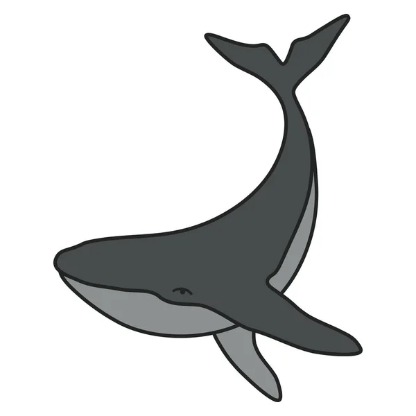 Humpback Balena Minimalista Semplice Illustrazione Logo Vettoriale Isolato Disegno Balena — Vettoriale Stock