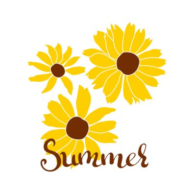 Beyaz arkaplanda izole edilmiş açık heliopsis yaz afişi çiçek vektör renk illüstrasyonu. Vektör taslak stili üst görünüm el çizimi vahşi, sarmal, sahte ayçiçeği.