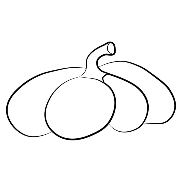 Illustration vectorielle icône citrouille. Automne Halloween ou Thanksgiving symbole de citrouille dans un design plat, simple, silhouette de contour isolé sur fond blanc — Image vectorielle