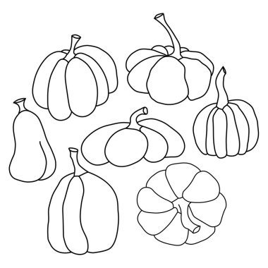 Kabak ikonu vektör illüstrasyon seti. Sonbahar Cadılar Bayramı ya da Şükran Günü balkabağı sembolü düz tasarım, beyaz arka planda izole edilmiş basit, ana hatlı siluet