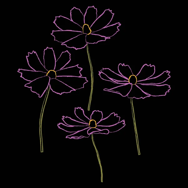 Conjunto de tiza estilo cosmos flor rama vector simple ilustración aislada sobre fondo negro. Esquema dibujado a mano versión de color. vector floral para niños ilustración, diseño de verano. — Archivo Imágenes Vectoriales