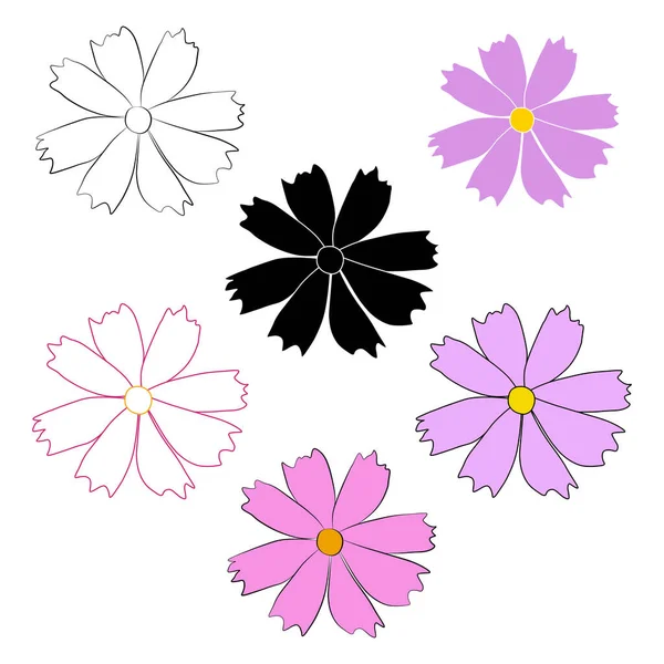 Sada Kosmu Květinové Větve Vektorové Ilustrace Izolované Bílém Pozadí Černý — Stockový vektor