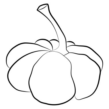 Kabak ikonu vektör çizimi. Sonbahar Cadılar Bayramı ya da Şükran Günü balkabağı sembolü düz tasarım, beyaz arka planda izole edilmiş basit, ana hatlı siluet