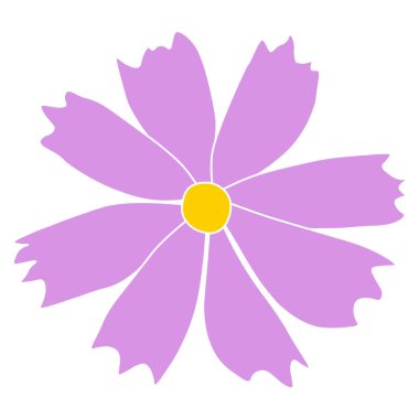 Tek kozmos çiçek vektörü, beyaz arkaplanda izole edilmiş basit bir illüstrasyon. El çizimi renkli versiyonu. Çocuk illüstrasyonu için çiçek vektörü, yaz tasarımı, ekran yazdırma.