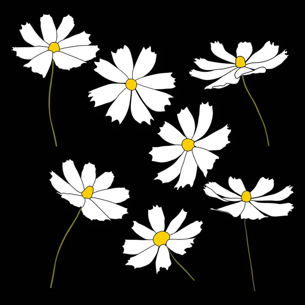 Sada Kosmu Květinové Větve Vektorové Ilustrace Izolované Černém Pozadí Obrys — Stockový vektor