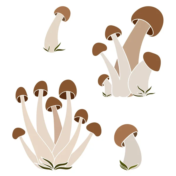 Set Funghi Vettore Semplice Illustrazione Isolata Sfondo Bianco Versione Disegnata — Vettoriale Stock
