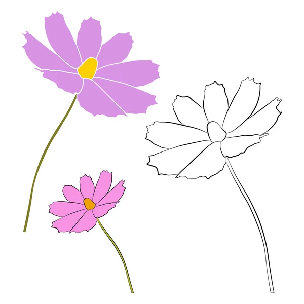 Sada Kosmu Květinové Větve Vektorové Ilustrace Izolované Bílém Pozadí Černý — Stockový vektor