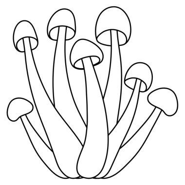 Beyaz arkaplanda izole edilmiş basit mantar vektörü çizimi. Ana hatlarıyla çizilmiş versiyonu. Vektör mikolojisi. Doğal sağlıklı mantar, sonbahar tasarımı..