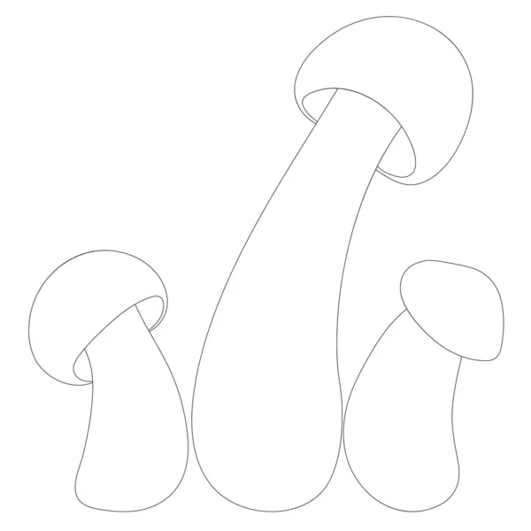 Állítsa Gomba Vektor Egyszerű Illusztráció Elszigetelt Fehér Háttér Vázlatos Kézzel — Stock Vector