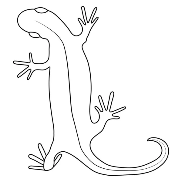 Lizard Reptile Gecko Outline Vector Illustration Simple Line Art Illustration — Stock vektor