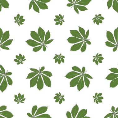 Kestane yaprağının hatları kusursuz. Kestane rengi kumaş ve arka plan için basit bir iz bırakır. Beyaz arkaplanda gerçekçi el çizimi yaprakları.